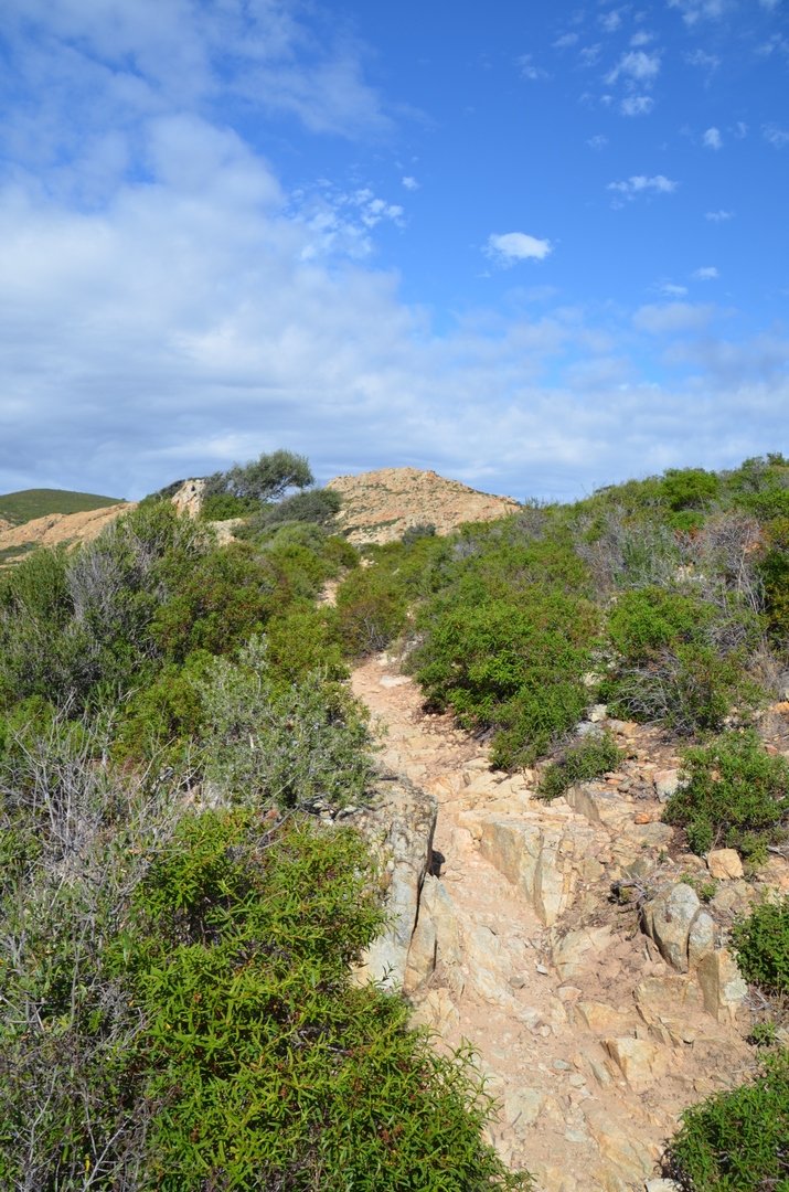 MaYa8545's tweet image. Jour 4 belle rando plage #Acciolu #Ostriconi désert des #Agriates criques en tout genre et des copines qui maîtrisent l'escalade ^^ 4h30 15Kms !