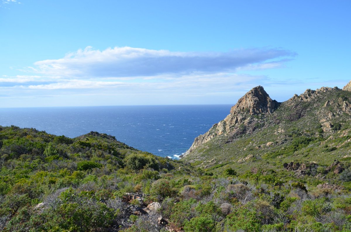 MaYa8545's tweet image. Jour 4 belle rando plage #Acciolu #Ostriconi désert des #Agriates criques en tout genre et des copines qui maîtrisent l'escalade ^^ 4h30 15Kms !