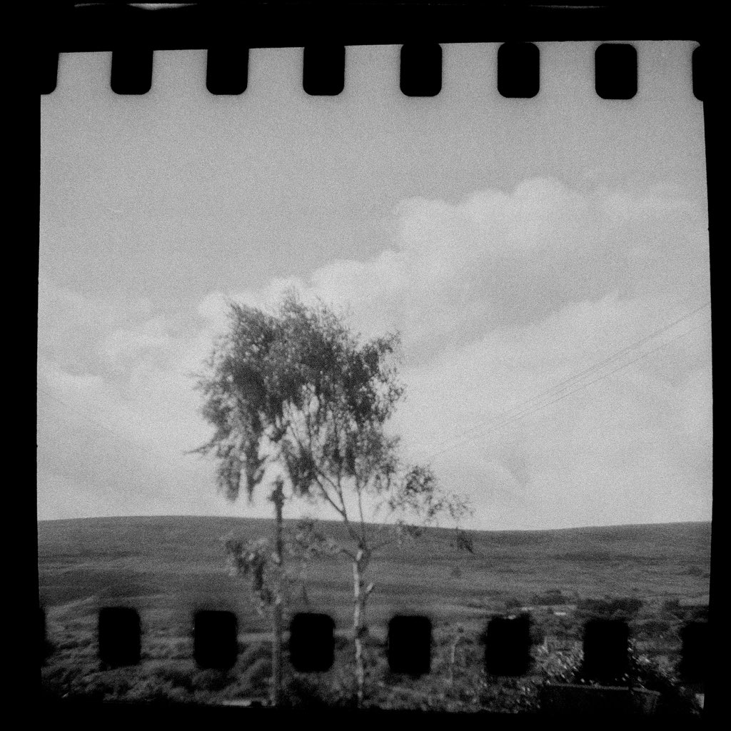 TobyVPhoto's tweet photo. #StreetCandyATM400 #respooled into #127format backing paper a d shot in a #BenciniComet #sprocketholes https://t.co/a35EzmpgdW