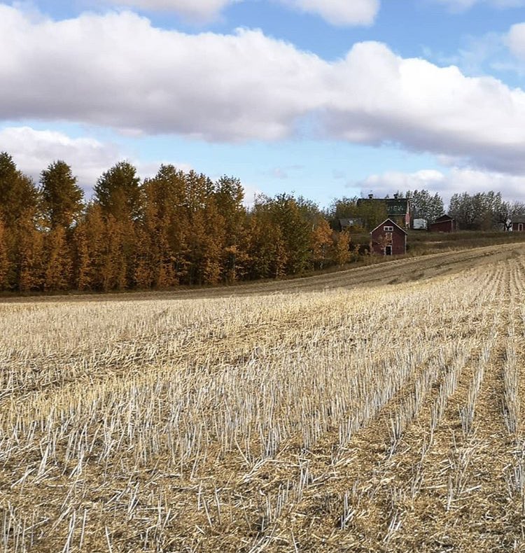 westernagNWSK's tweet photo. Wishing all our farm friends best of luck as they work on finishing up harvest here in #Sask. Our Agronomists are out Soil sampling those harvested fields so they can help plan for next year. #harvest19 #SoilHealth #soilsampling19 #PRStechnology @Western_Ag https://t.co/sWRThvMPMb