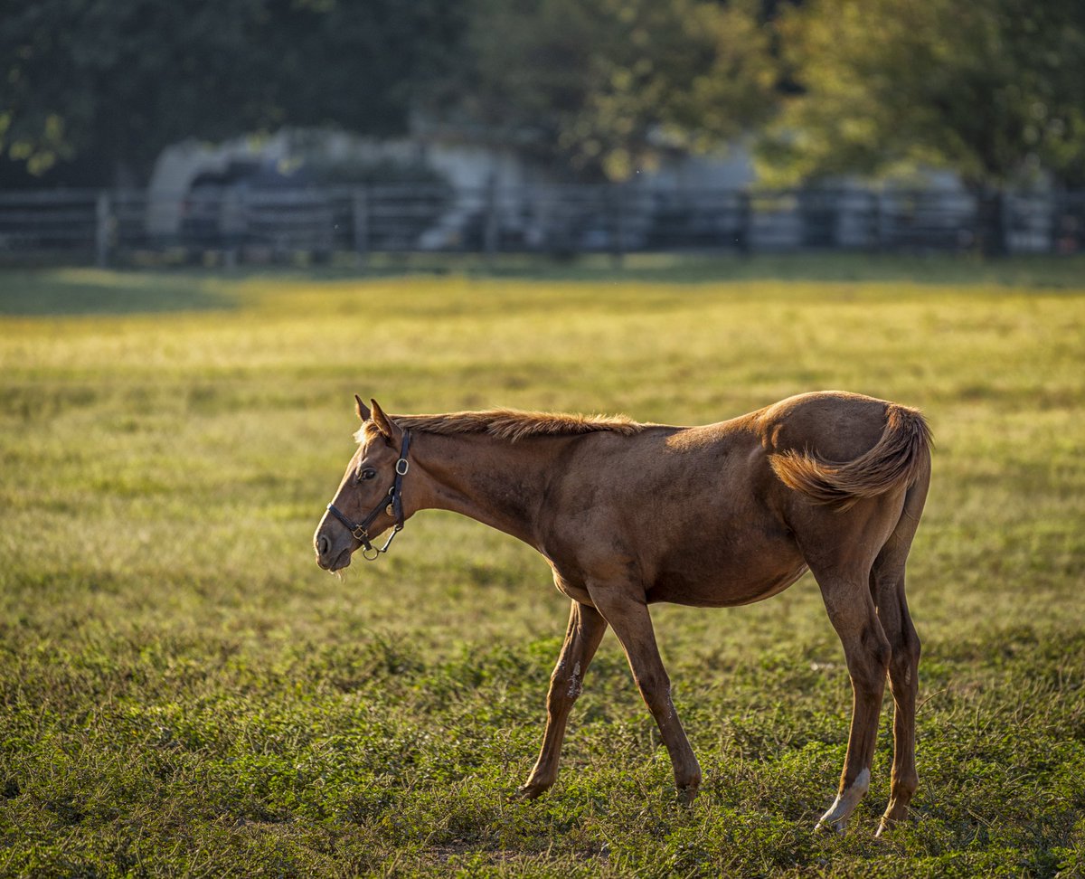 DanOestreich's tweet image. “On Insecurity” 

bit.ly/35iRF18

When we oppose insecurity and confidence, it may be that we are creating the wrong dimension to explore.

#multiplerealities #rules #conditioning #leading