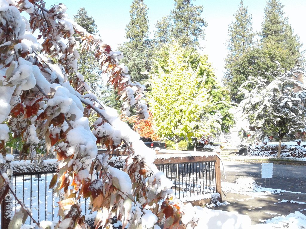 bbranch2059's tweet photo. @RJKing14 Even with waking up to CRAZY below freezing temps and fresh snow everywhere, I don't envy the 89 degrees you are enjoying. I love where I live and lived in Alaska for 20 years, so 89 degrees is CRAZY HOT for me. Besides it made for some awesome pics ๐ Oct.2019 the #FALLofTrump https://t.co/MFsNxznNKq