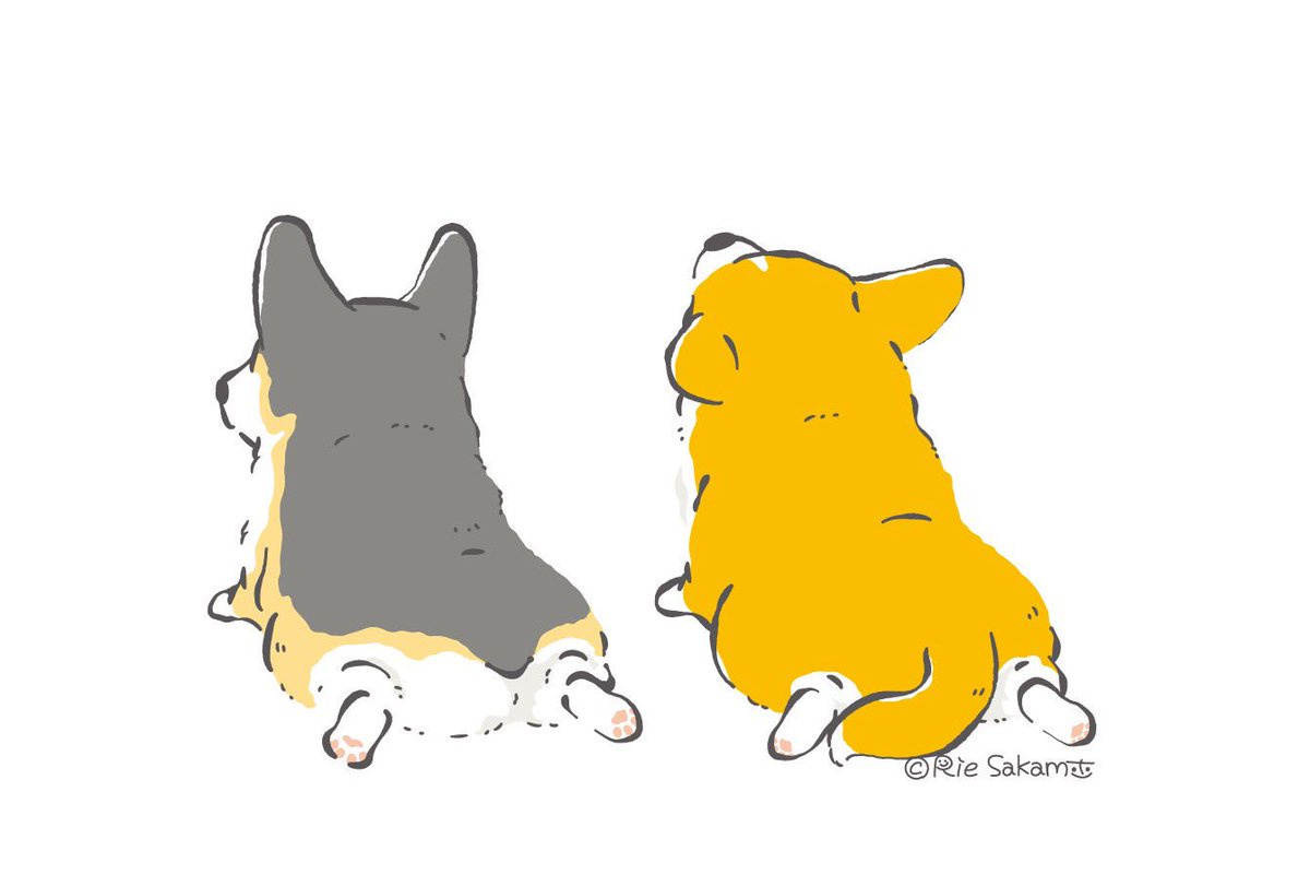 「最&高なコーギーのおちり
#corgi #コーギー #イラスト #コギまるけ 」|サカモトリエ/イラストレーターのイラスト