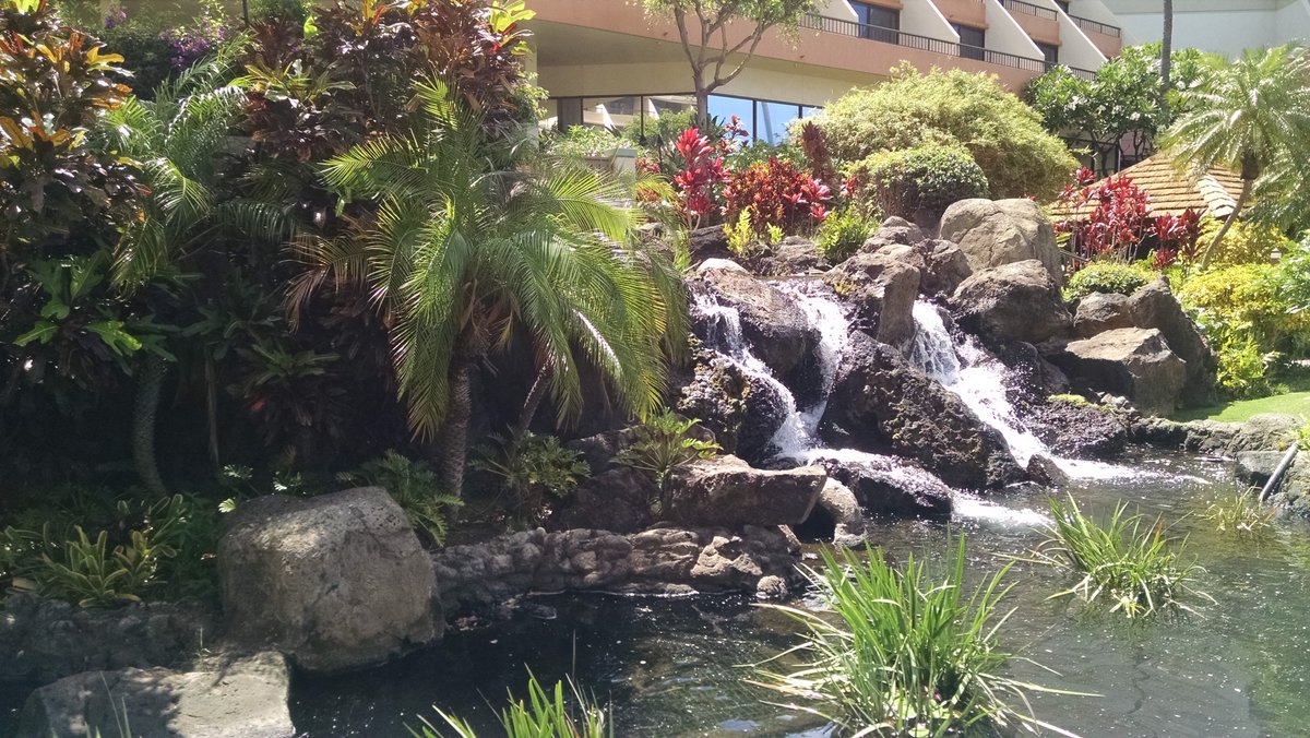 How would you like this to be in your backyard? #waterfeature #autofill #hotel