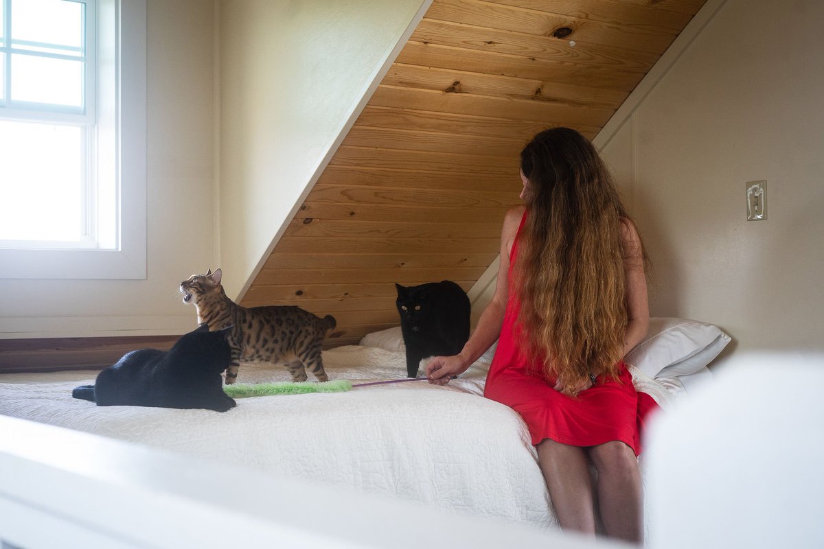 S.Thomas (@redwng2) on Twitter photo 