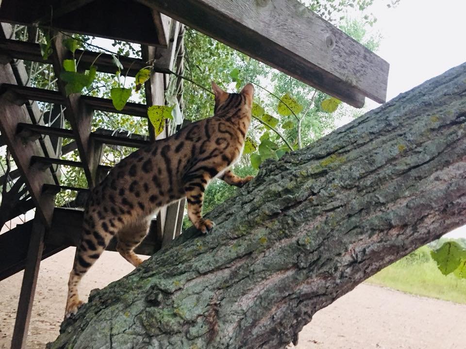 S.Thomas (@redwng2) on Twitter photo 