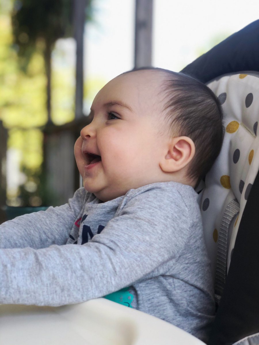 k_brennanS's tweet photo. I can’t get over how precious this little gal is 🥰😩 https://t.co/E8rUdAM2KC