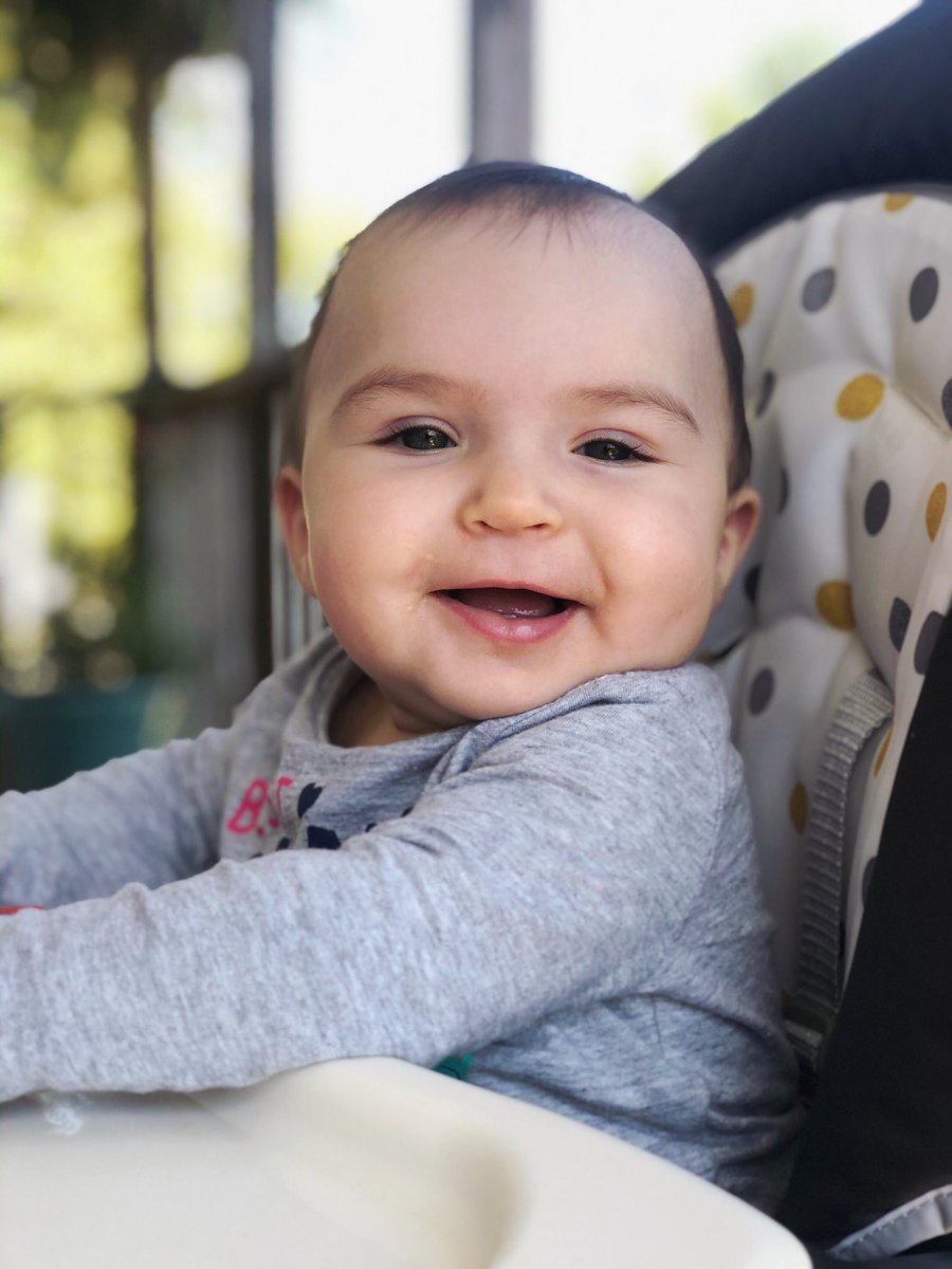k_brennanS's tweet photo. I can’t get over how precious this little gal is 🥰😩 https://t.co/E8rUdAM2KC