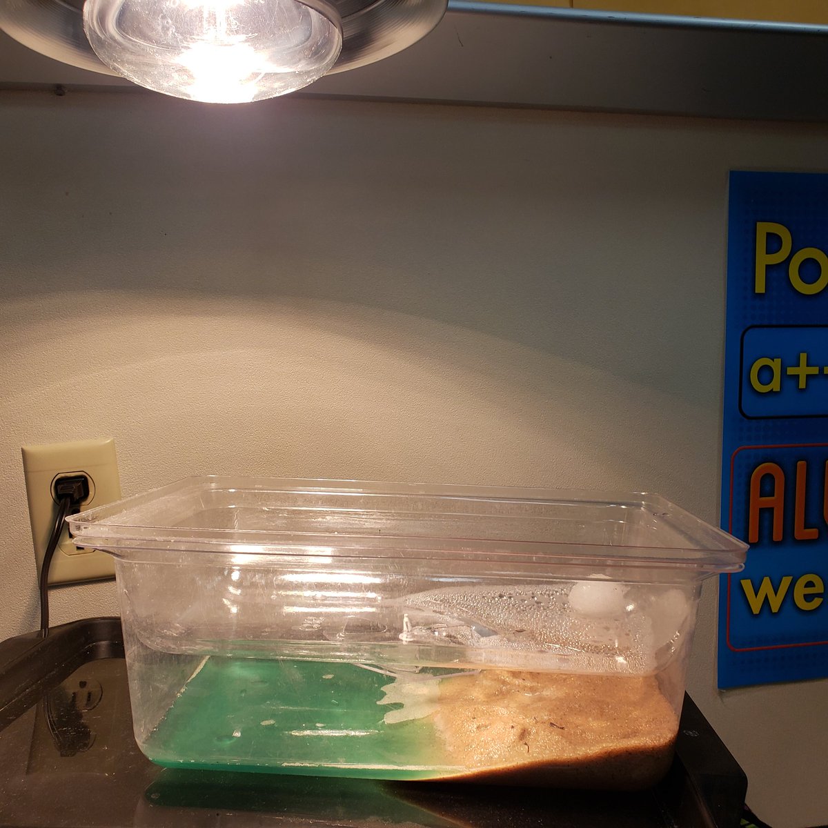 TechEXL's tweet photo. Such an awesome model @Mrs_Hajek created for her students that demonstrates the Water Cycle! The @ReesStars in her room were able to make connections! @AliefScience #ReesScience #ReesRocks https://t.co/BHQGfZc0eN