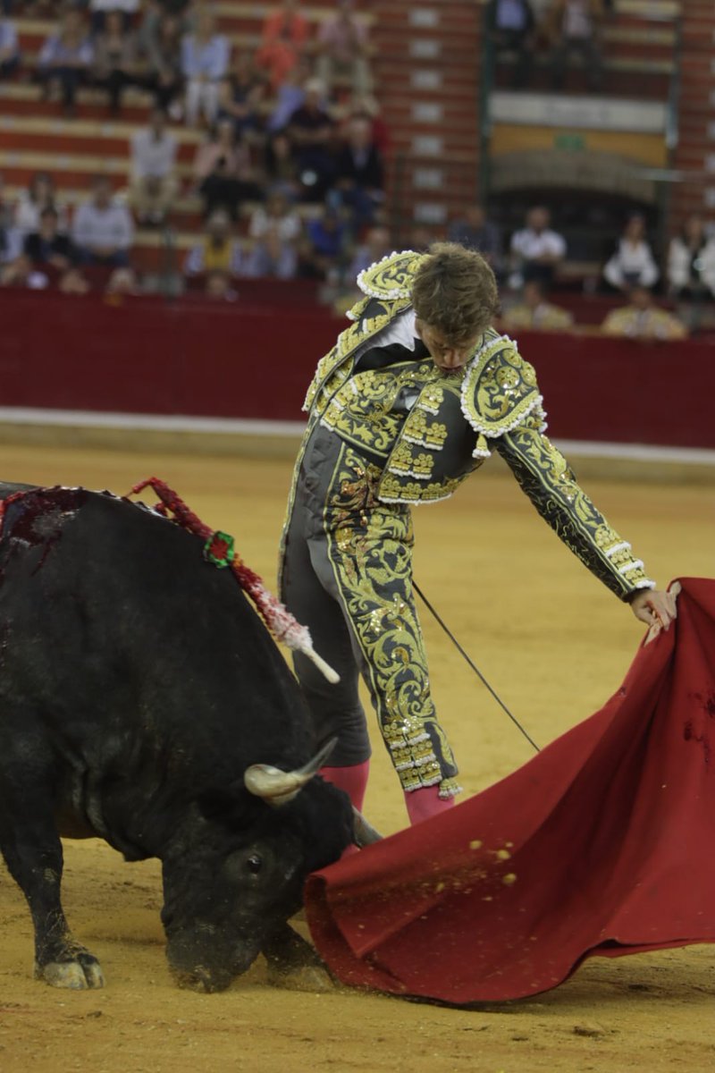 burladerotv's tweet photo. FESTEJOS.- ZARAGOZA.- Dos vueltas al ruedo tras petición y bronca al palco para Escribano en el quinto , por Paco Martínez #AlbertoAlvarez @InfoMESCRIBANO @InfoDanielLuque @CosoZaragoza
@CircuitosToros #FeriadelPilar2019 #Zaragoza Fotos: Joël Buravand  
 https://t.co/qHT8keeSNK https://t.co/c6lHYPohSc