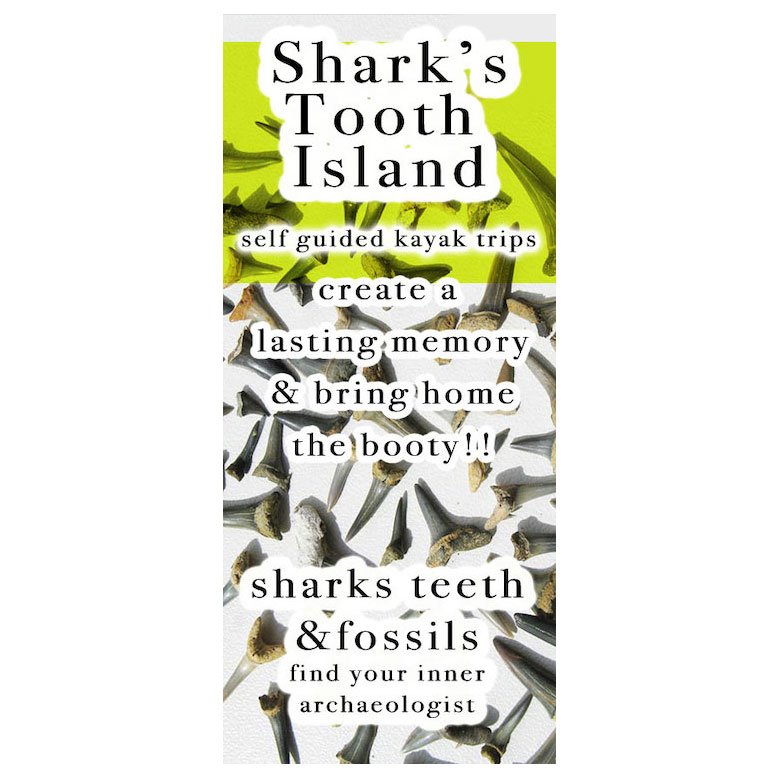 BrochureLocal's tweet image. 