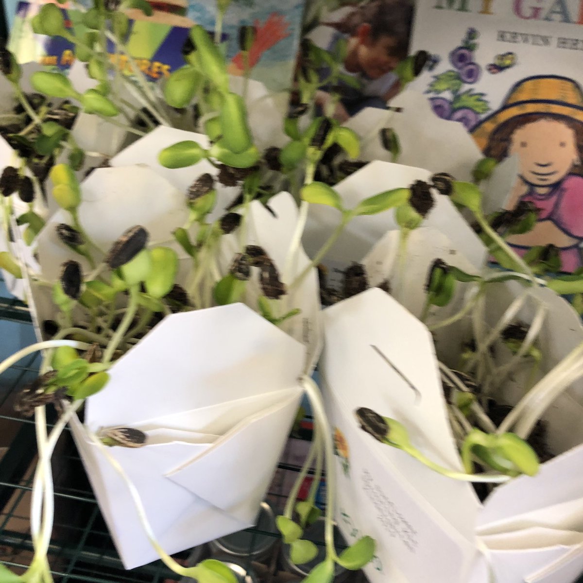 atarquin tweet media