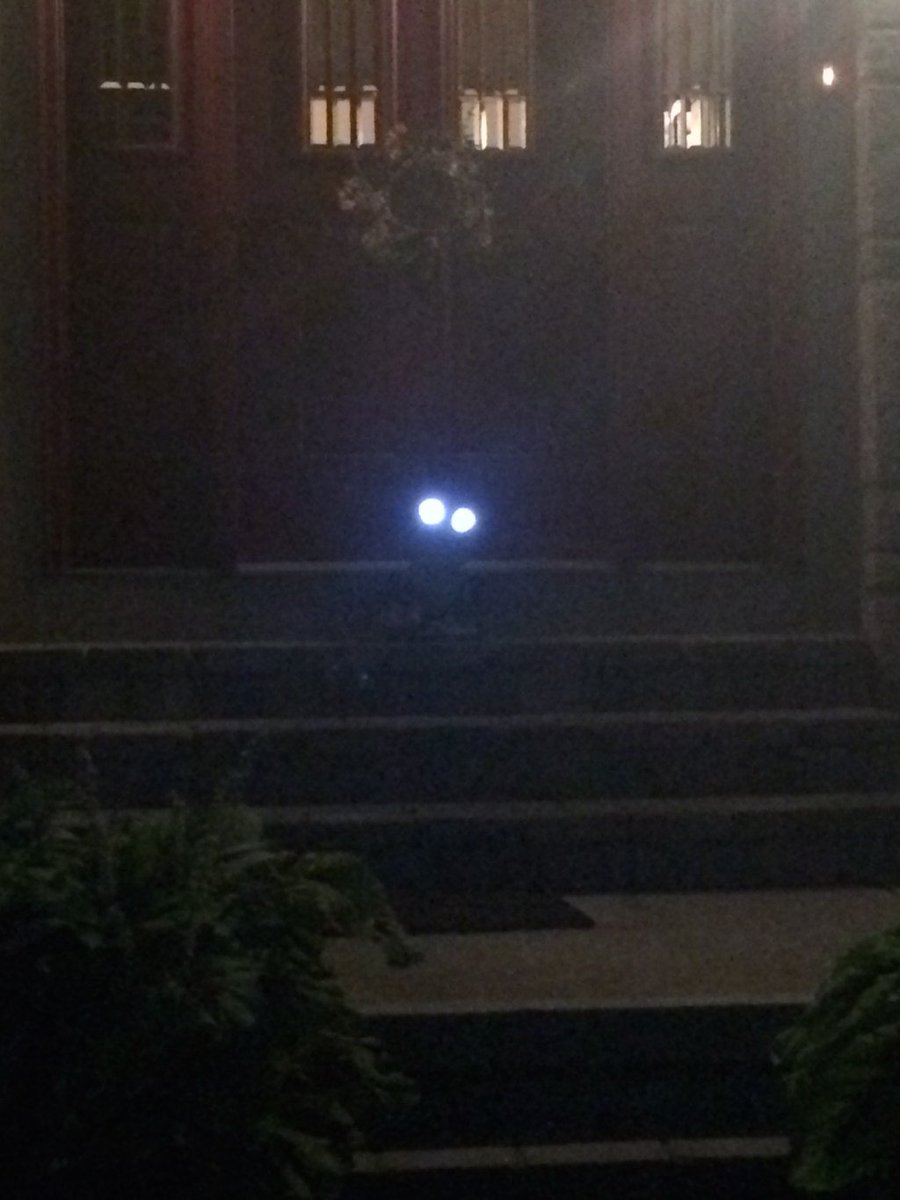 Soon, Here Be Monsters! strangeandspookyworld.com/2019/10/09/soo…