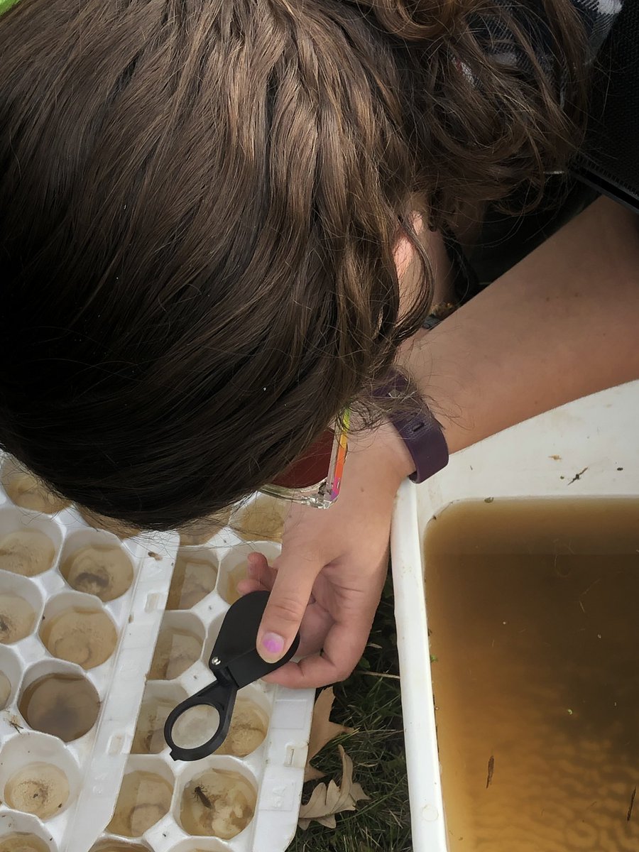 Land_WaterACC's tweet photo. Year 2 students enjoying a great field day @ACCMB North Hill campus  sampling benthic macroinvertebrates  #outdoorlearning @ACC_Shawn https://t.co/4pVBZ22RJc