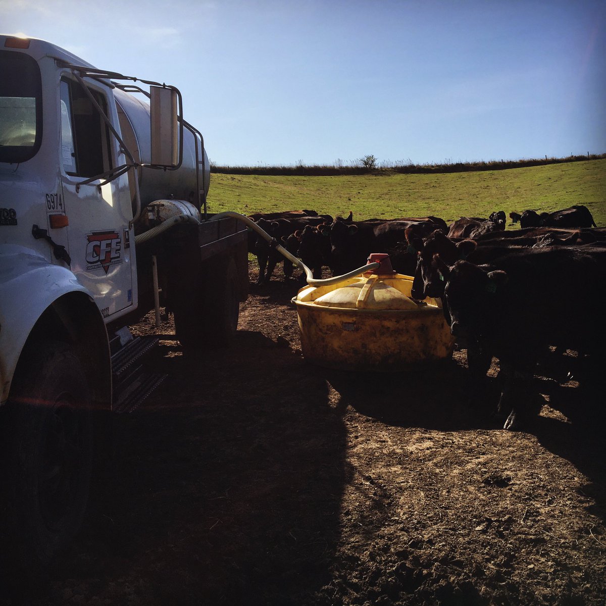 Utilizing <a href="/QLFNutrition/">Quality Liquid Feeds</a> pasture enhancers! #CFEViews