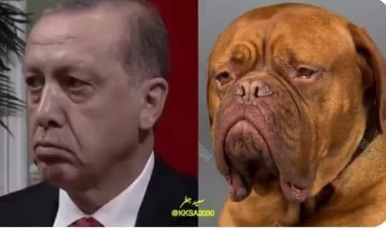 ElsayedElaskar3's tweet photo. #اردوغان_مجرم_حرب
ان شاء الله تكون دي نهايته https://t.co/T0EIR46cav