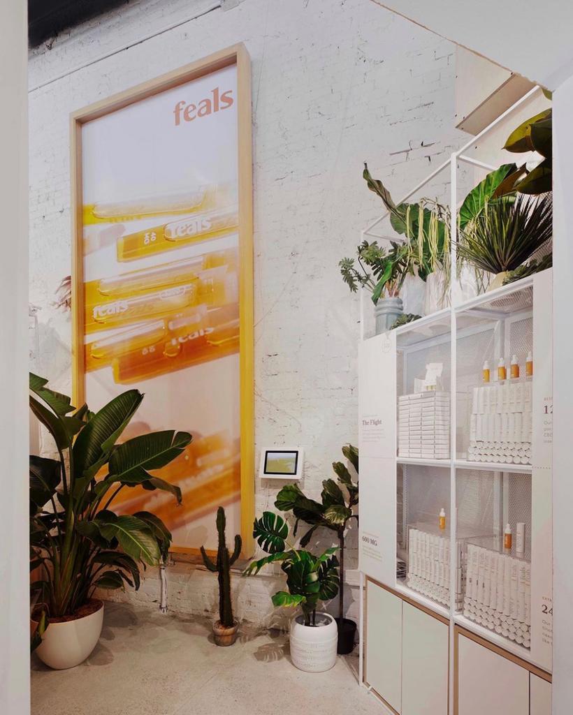 feals's tweet photo. Hey NYC! Come get some shelter from the rain and visit us in @Showfields—learn all about the healing world of CBD and grab some bottles for your loved ones (yourself counts as a loved one). https://t.co/JZgspk15H0