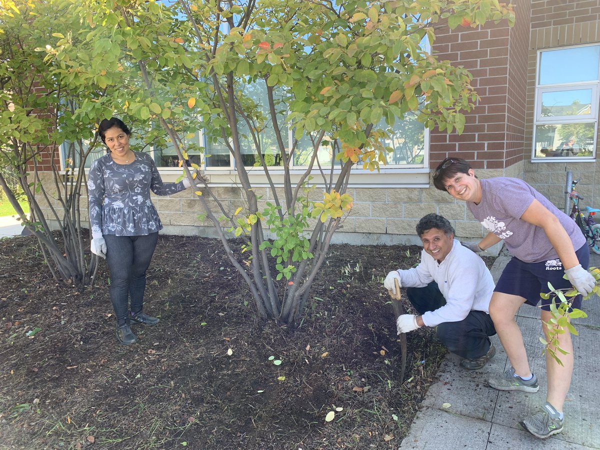 TreelinePDSB's tweet photo. Thank you School Council members Mr. P and Mrs. F-T, Green Team, Mr. Persaud and @Skyeknee for clearing the front garden bed. It looks great! #TreelineProud. https://t.co/s848gQZuPn