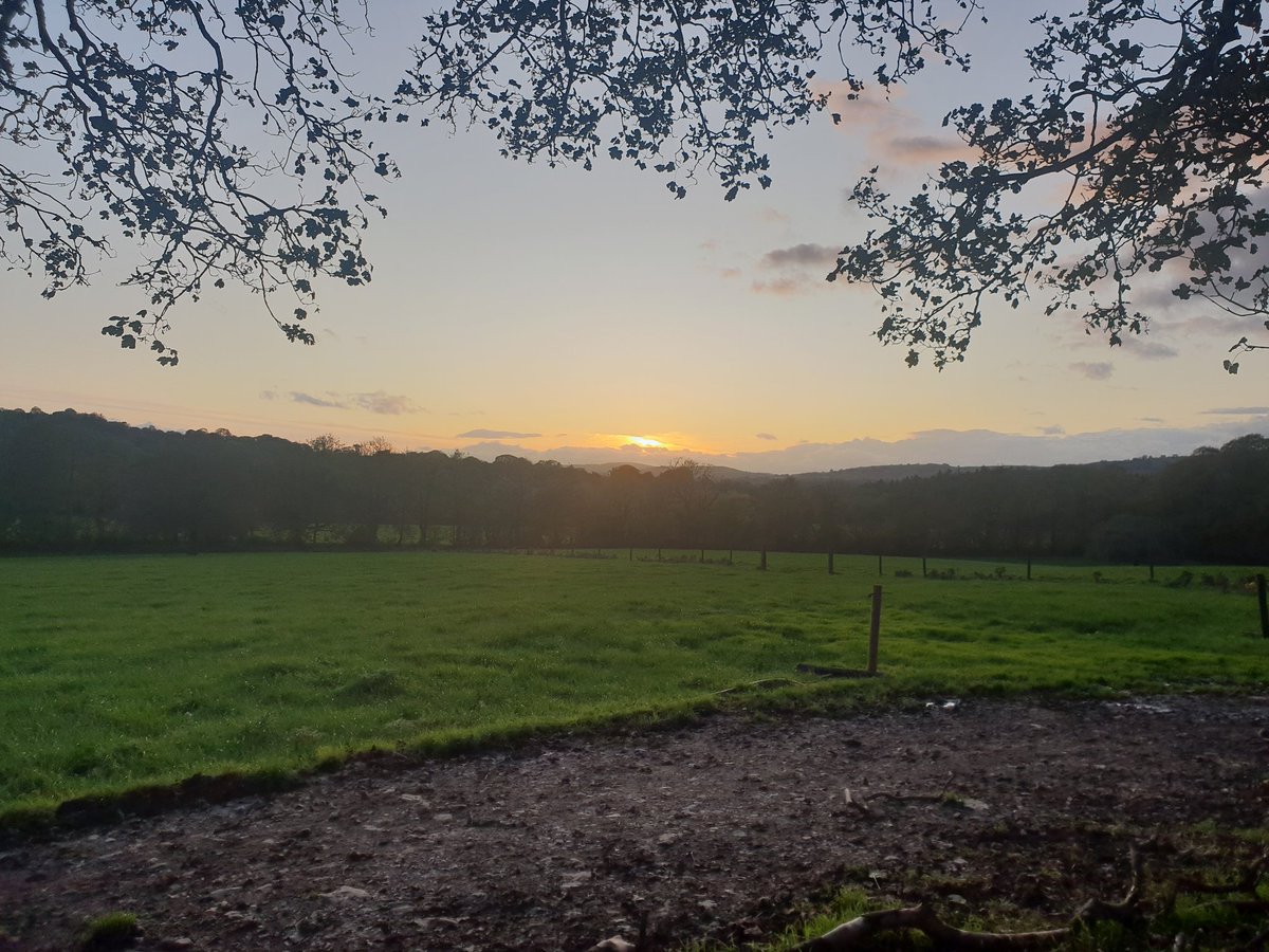 Peter Hynes 🐄🥛🇮🇪 tweet media