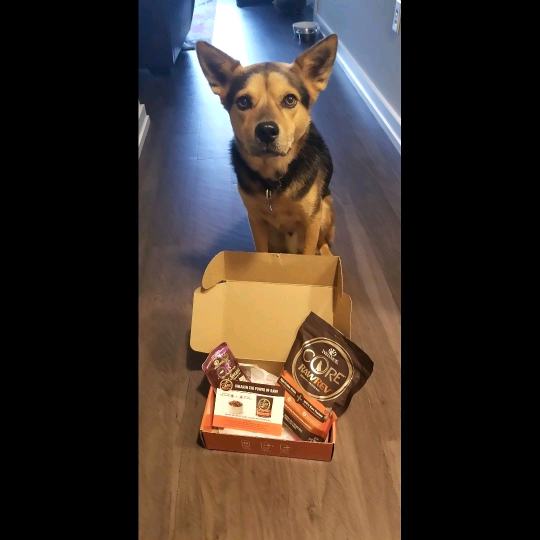 Missy_inc's tweet photo. @wellnesspetfood @Influenster #RevItUp #WellnessCORE #complimentary https://t.co/bg7mnd0Ous