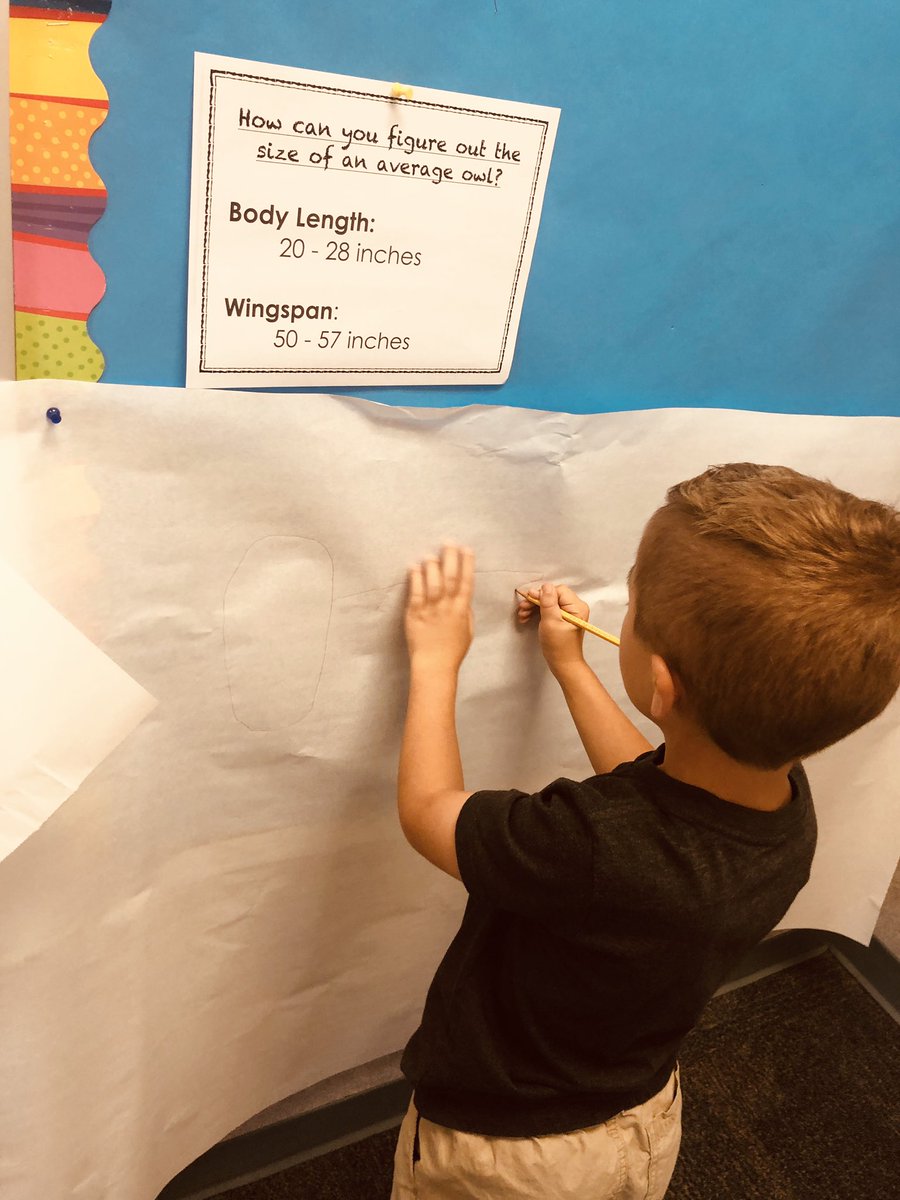 MrsWardsPack's tweet photo. Night Sky provocations kick off @FCEhse first grade questioning about the moon and nocturnal animals. 🦉🌜🦇#owlpelletsarecool #thosearetinyteeth https://t.co/JxeJOpKrIH