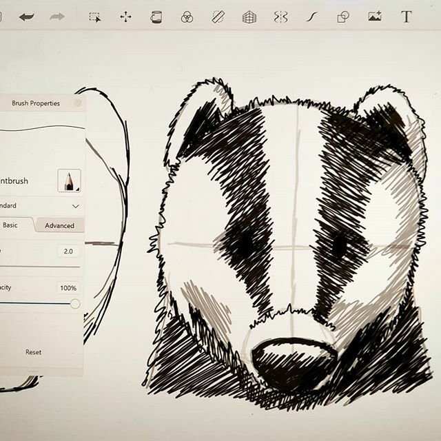 Sarah_Spendlove's tweet photo. Working on a handout for my art classes. What better UK wildlife to draw than a badger?! I do like using Sketchbook. It's the easiest and smoothest digital sketch programme I've found so far, and it's free!

#drawingclass #badger #wildlife #sketchbook #digitalart #shading #c… https://t.co/LyL2E3tYF0
