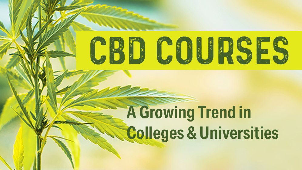 BarCharts/QuickStudy tweet media