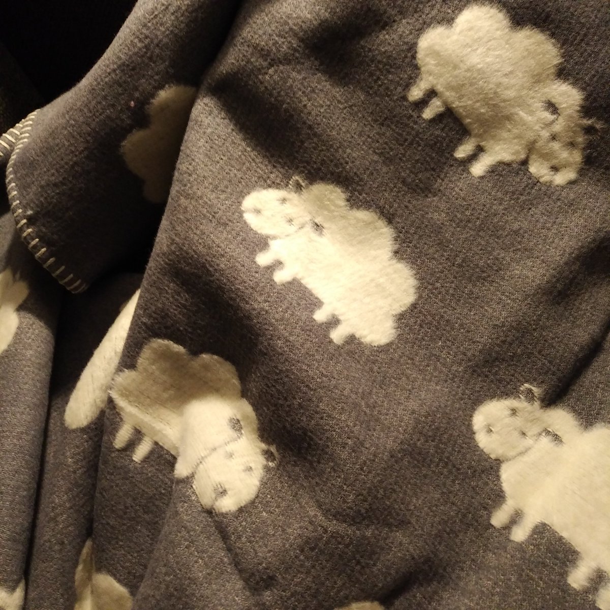 v_i_o_l_a's tweet image. #sheepcontent 😍🙃