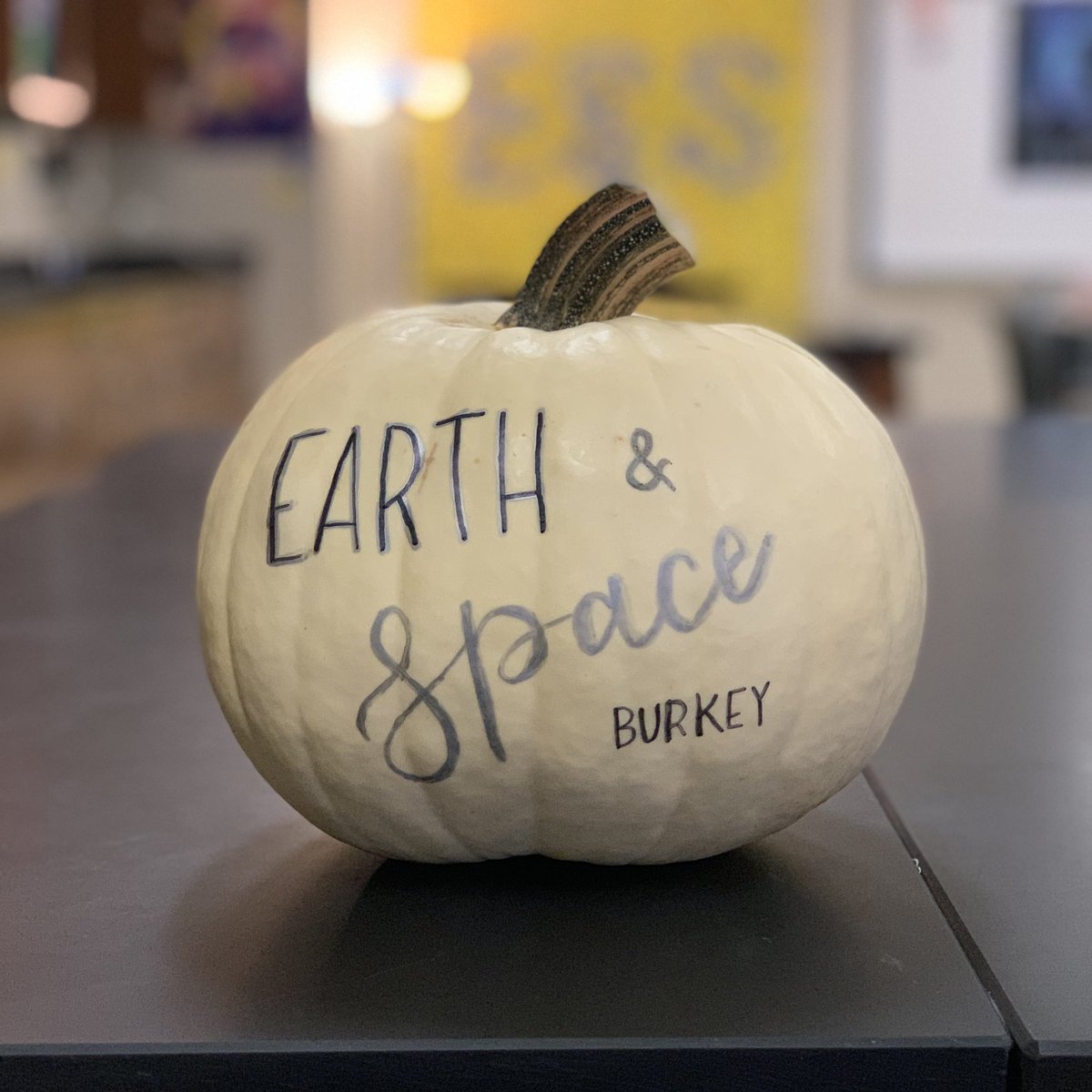 jillmburkey's tweet image. Happy Fall from #BurkeyESS