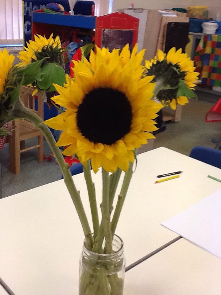 TynewyddNursery's tweet photo. Yellow week has kept us busy in Nursery! We've been threading Cheerios onto dry spaghetti stuck in bananas, we've painted yellow sunflowers, decorated ducks with yellow materials and made yellow ducks out of yellow play dough! #developingourskills @TynewyddPrimary https://t.co/MhdGUqnAv0