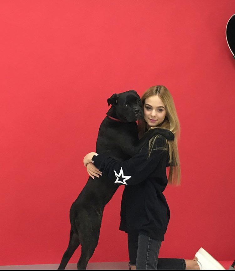 KayleeRollins1's tweet photo. my luv❤️ #dogfriendly #dogsoftwitter https://t.co/fj7Hvy3Yep