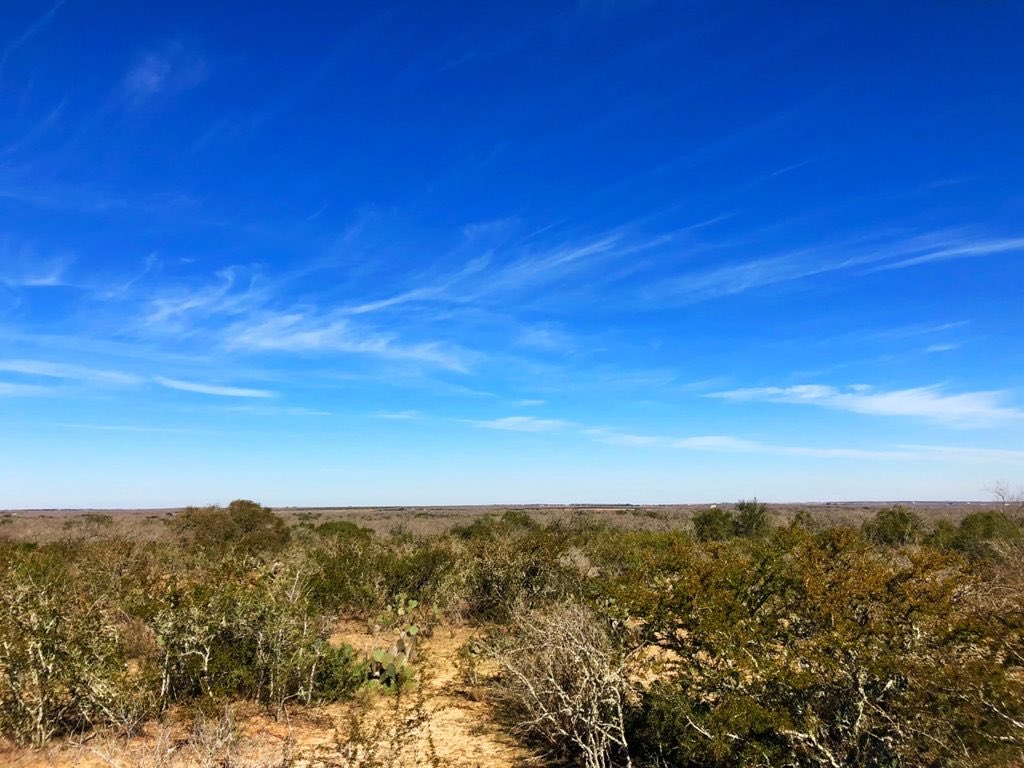 TX_Ranches4Sale's tweet photo. This 234 acre hunting ranch is about an hour drive from San Antonio. It has a wet weather creek scattered with mature oaks and offers a perfect canvas for a homesite/hunting/cattle ranch.

#buylandlivewell #cattleranch #huntingranch #ranchbroker #southtexasranches #southtexas https://t.co/HY1t146d64