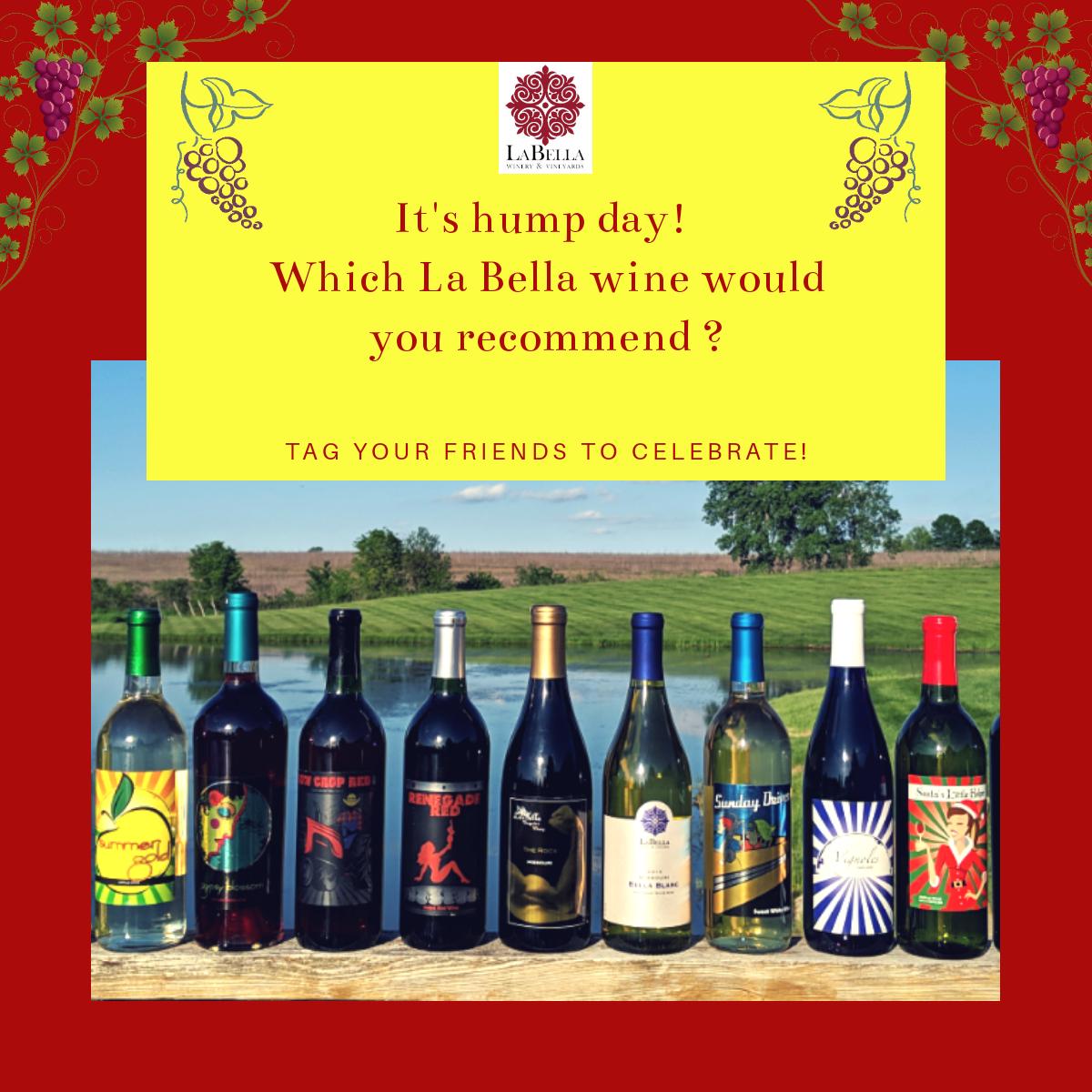 LabellaWine's tweet photo. Hump day is the best time for wine! At La Bella we have a great selection. Which one would you recommend?
#labella #wine #winecountry #winetasting #kc #theknot #redwine #missouri #venue #missouriwine #vineyardweddings #livemusic #healtywine https://t.co/P7rfwyBCp0