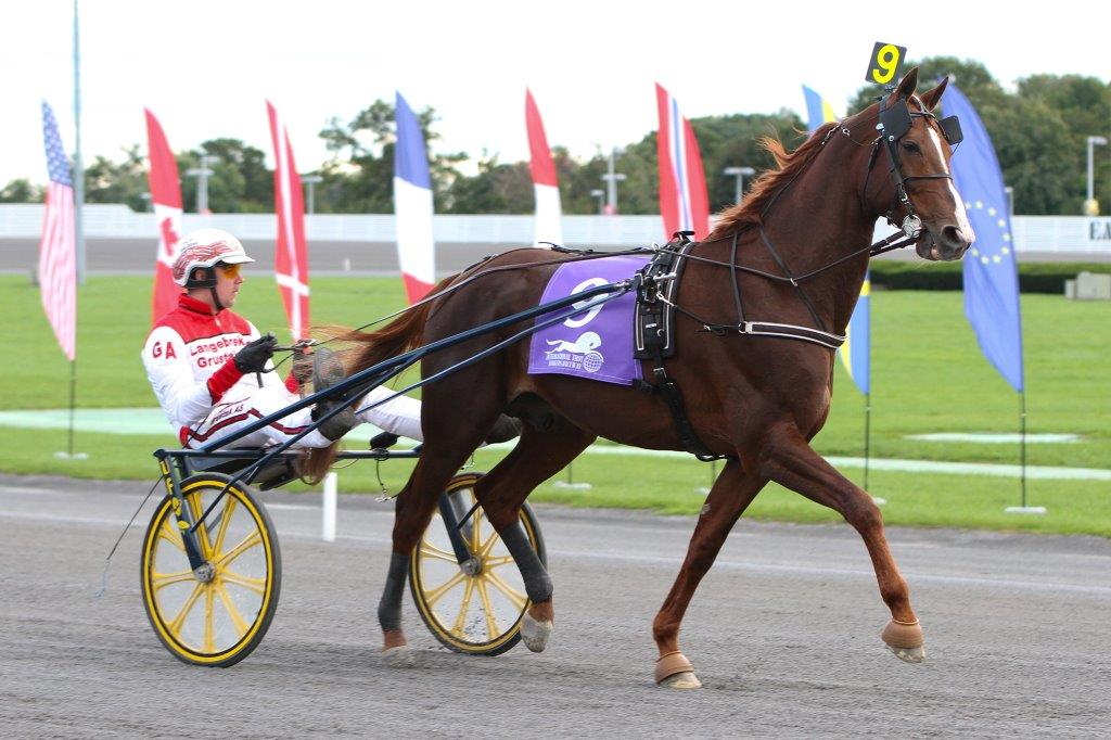 Göran Antonsen and Lionel hope to win Saturday's $1 million Yonkers International Trot after finishing second a year ago. Read more in today's International Trot notebook bit.ly/LionelTrot <a href="/YonkersRaceway/">Yonkers Raceway</a> <a href="/SOAofNY/">Standardbred Owners Association of New York(SOANY)</a> 

@Ragingmike photo