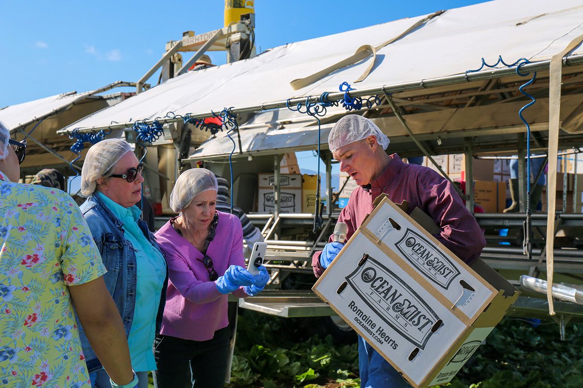 We are partnering lettuce farmers with registered dietitians and consumer advocates to help spread the word about all that lettuce farmers are doing to produce safe food bit.ly/312cQ4q <a href="/NevaRDLD/">Neva Cochran, MS, RDN, LD</a> @InglesDietitian <a href="/ChefJessRD/">Jessica Foust</a> <a href="/StreetSmartRD/">Cara Harbstreet, RD</a> <a href="/genkinutrition/">Jonathan Valdez</a>
@KatieToulouse
