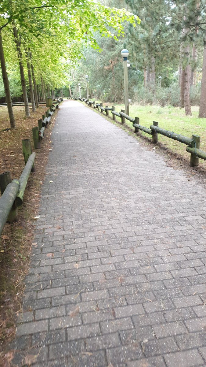 Pipster02's tweet photo. Whichever path you choose to walk down....choose it for you and your best life x #howpretty #morningcalm #beautyinthetrees #freshair #staffthatgoextramile #everyoneisnice #realworld https://t.co/1udKfTkOTv