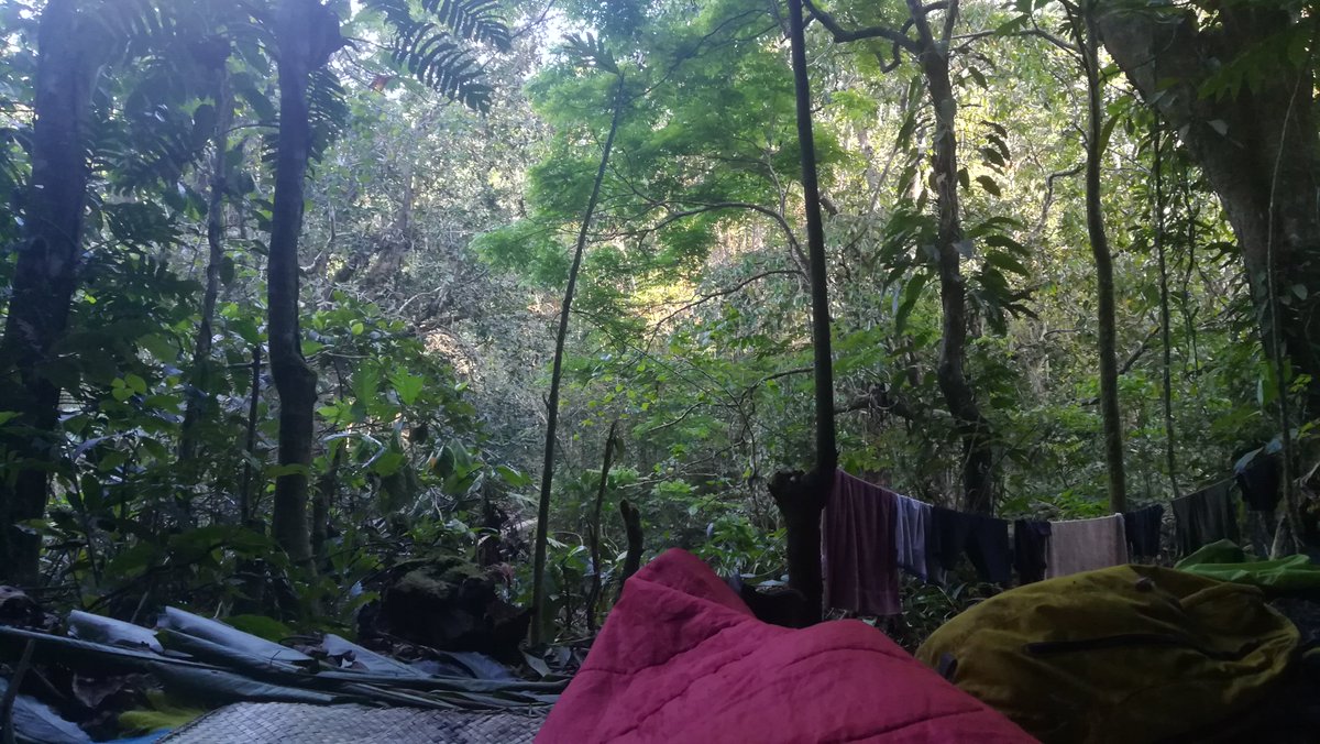 Nakau Programme tweet media