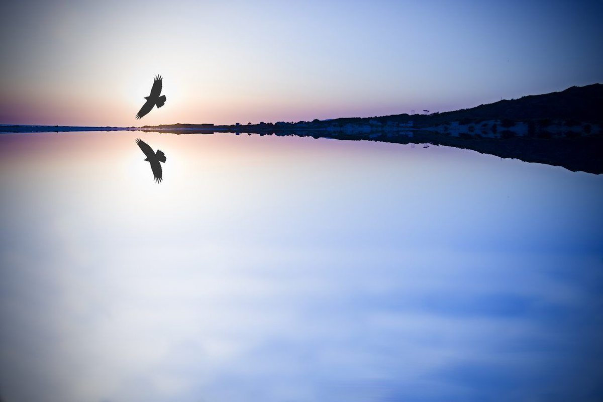 ColetteLafia's tweet photo. The other day, I had a very inspiring conversation with a someone about self care, and we both agreed that it has to go beyond the daily checklist. How do we really nourish ourselves?

 https://t.co/dTIQt9uiLB

#selfcare #sacred #sacredselfcare #listening #grace #acceptance https://t.co/wYHoYQaNwB