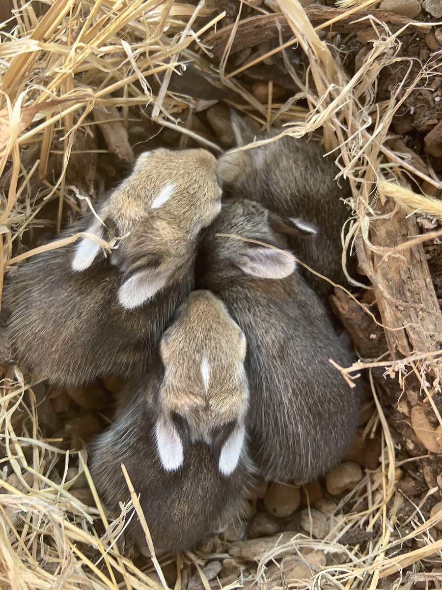 Kelli Krueger tweet media