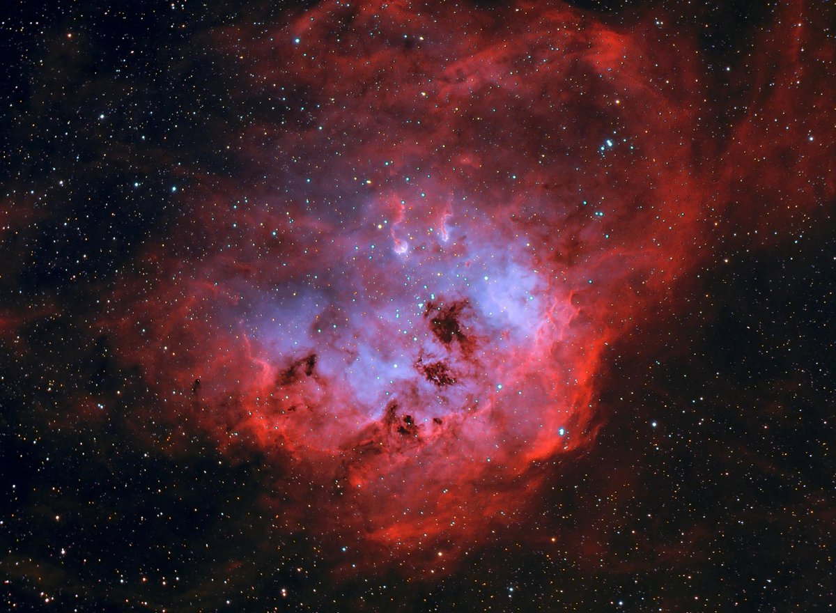 shaunreylec's tweet photo. Nebulae of the winter skies , captured over last 6 yrs, NGC2244, IC1848, IC410 and NGC2264 
All emission type star forming Nebulae https://t.co/1issjQr13r
