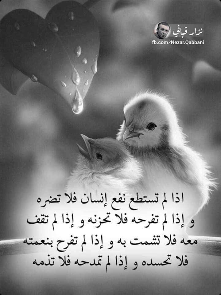 Adham Jamal tweet media