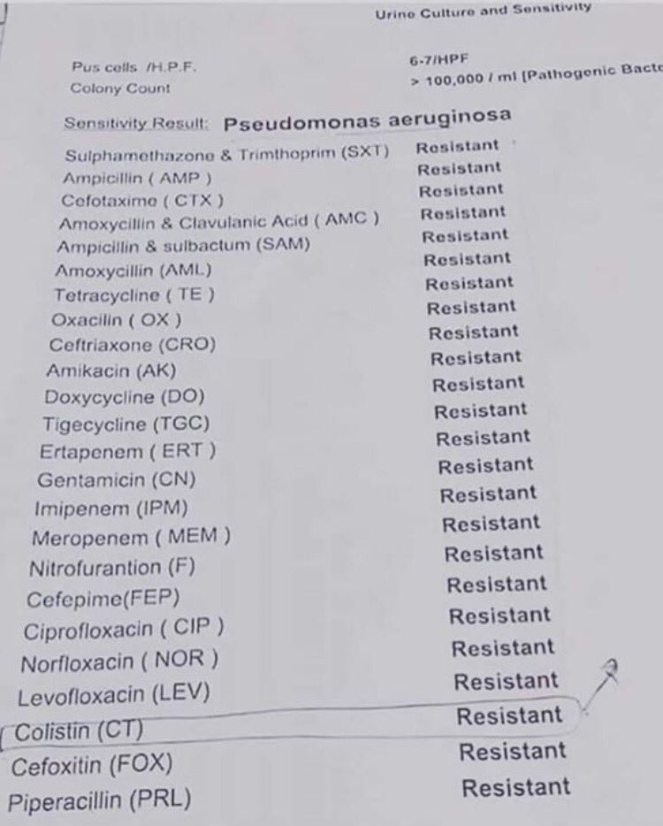 MeryMeryRo's tweet photo. For all those who take antibiotics with the flu...#Multiresistance #Antibiotics via #NGSDA https://t.co/q1zr9xRhKP
