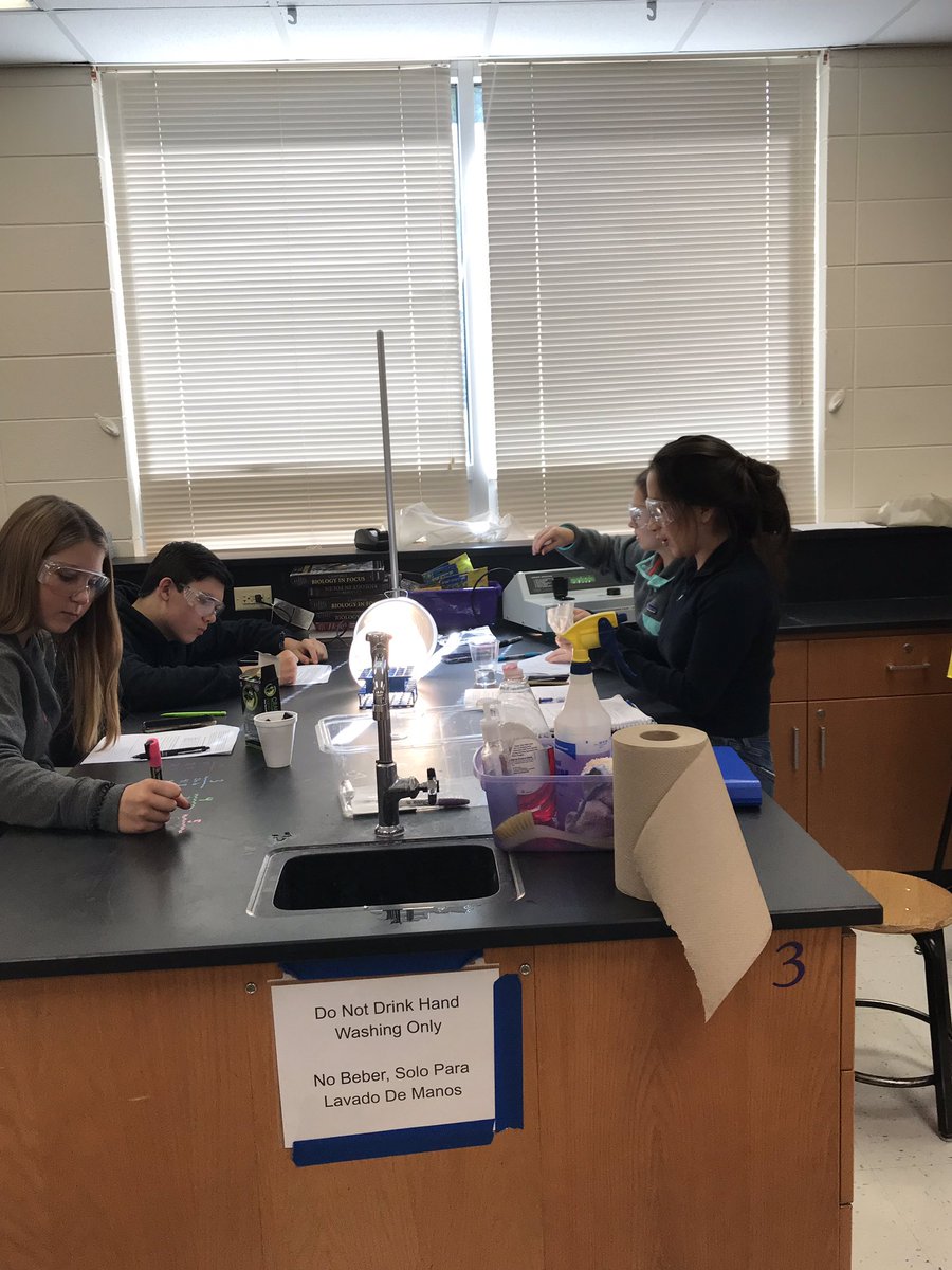 Science_Larson's tweet photo. AP Bio students #CrushedIt in our photosynthesis lab today. Teamwork and following directions were THE key to getting valid data. #thisishowweAP #APBio_WHS #BulldogLife_WHS #photosynthesis #DPIP https://t.co/zXQufYvIk5
