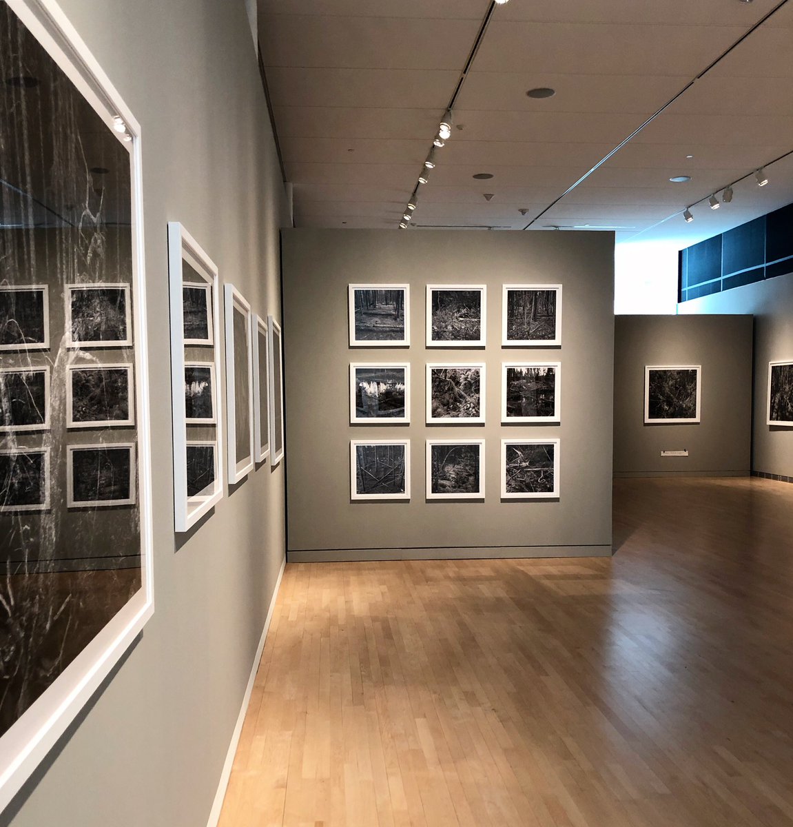 MuseumofWIArt's tweet photo. Here’s a #behindthescenes look at a handful of the 100+ photographs that will be on view in the Tom Uttech: Into the Woods exhibition. The Opening Party is this Saturday, October 12 at 2:00-5:00.
#intothewoods #photography #tomuttech #wisconsinart #magicrealism #art https://t.co/2BOs17THBg
