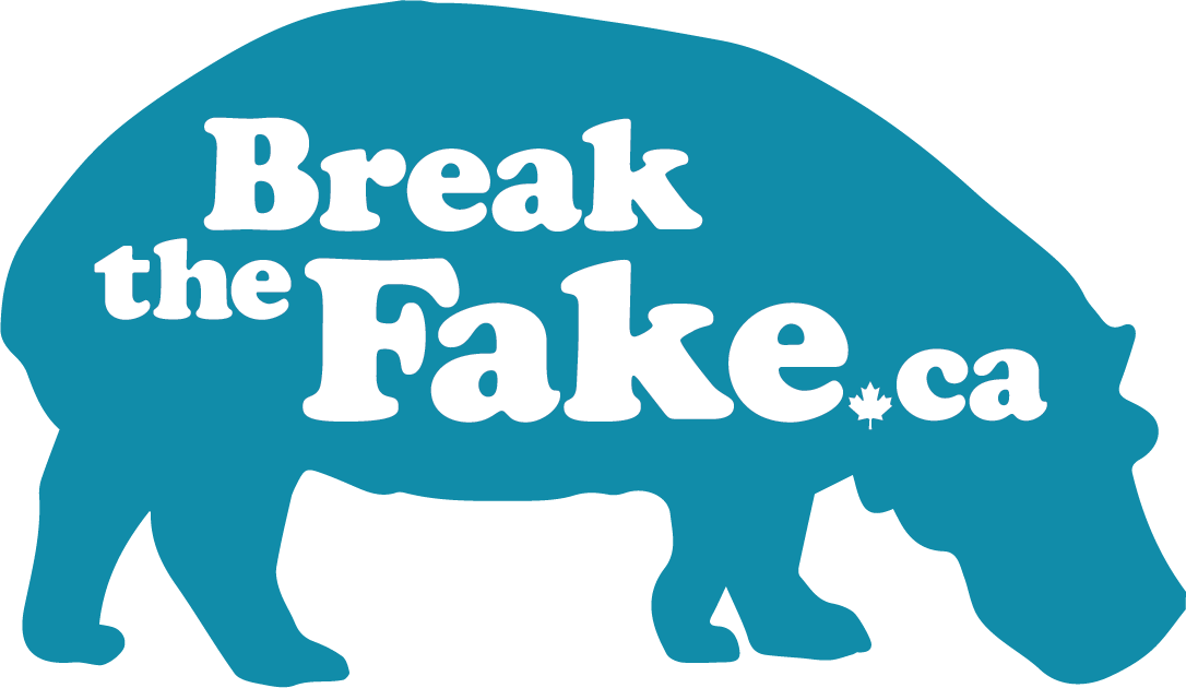 CTFFCE's tweet photo. For decades, Canada has been a world leader in media literacy education. Today, though, our media world has changed: anyone can create and spread fake images, videos, websites and social media accounts. Read more @https://bit.ly/30ZhmAK #BreaktheFake @MediaSmarts https://t.co/NrBjrNipX1
