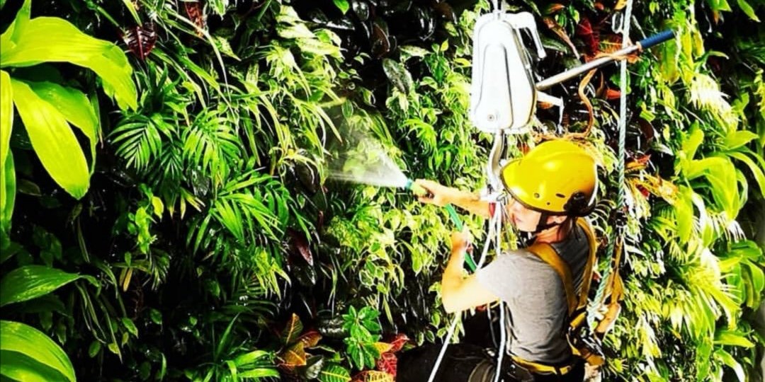 Nedlaw Living Walls tweet media