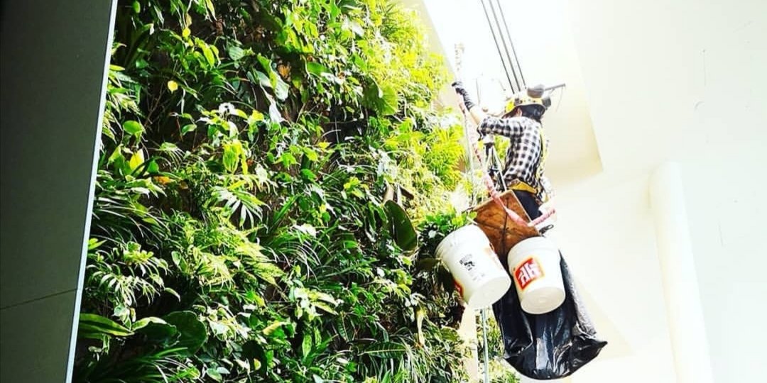 Nedlaw Living Walls tweet media