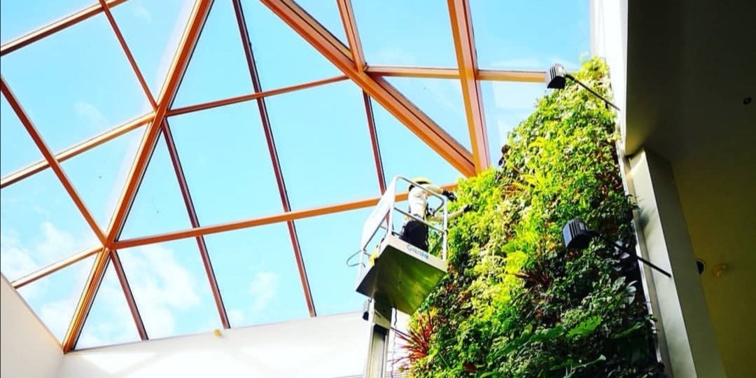 Nedlaw Living Walls tweet media