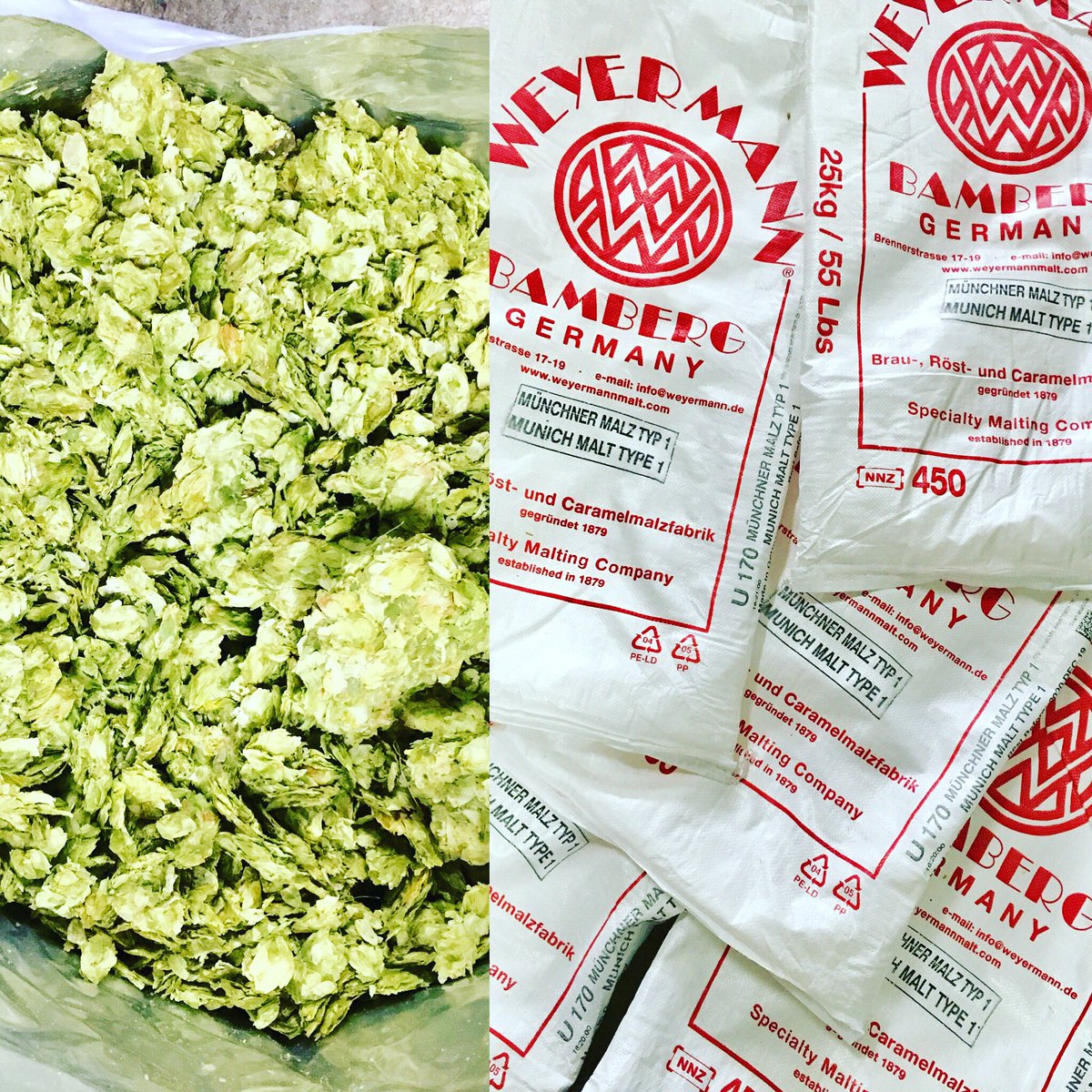 Brewing our 1st Anniversary Lager: a SMASH (Single Malt and Single Hop) with Munich &amp; Amarillo. Stay tuned for details on our 1st Anniv party on 11/16. #headlessmumby #lagerhard #craftlagers #casklager #independentbrewery #nitrolager #headlessbrewer #washingtonbeer
