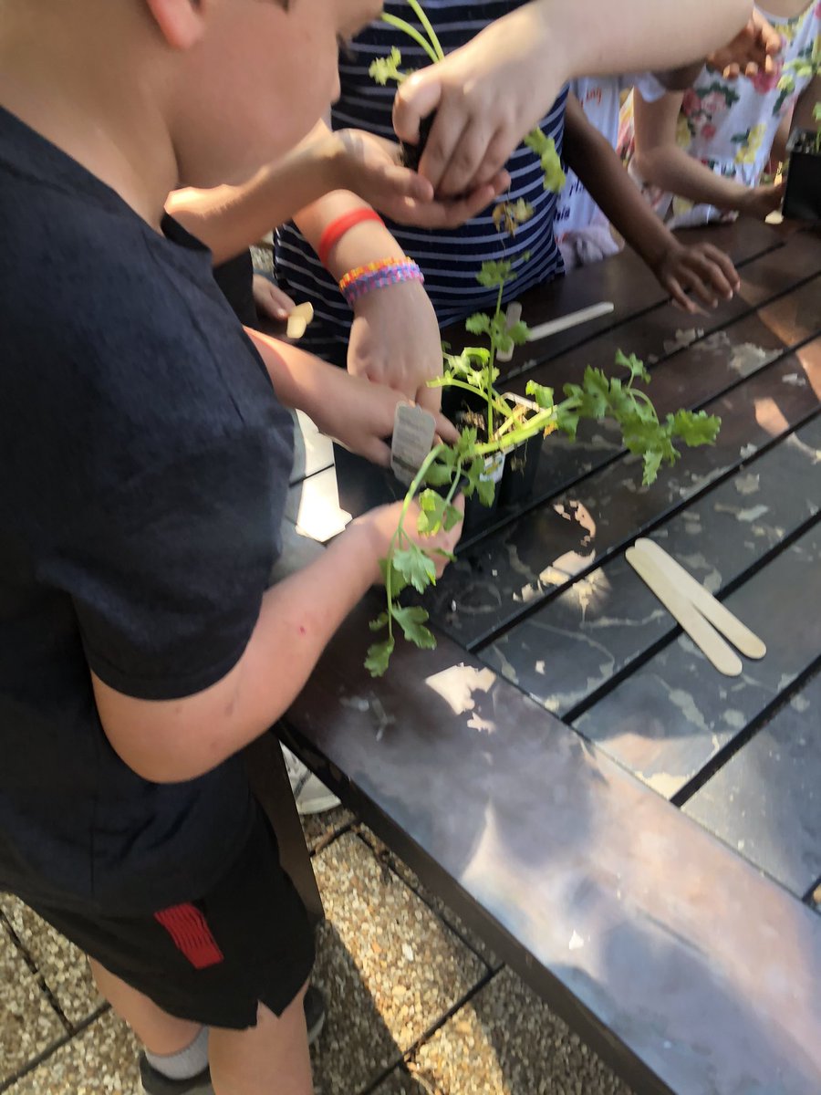 Wilbanksfunin41's tweet photo. We have the best outdoor classroom... spent some time planting veggies there today to make it even better! #funin4th #subitus https://t.co/iem6nQey4T